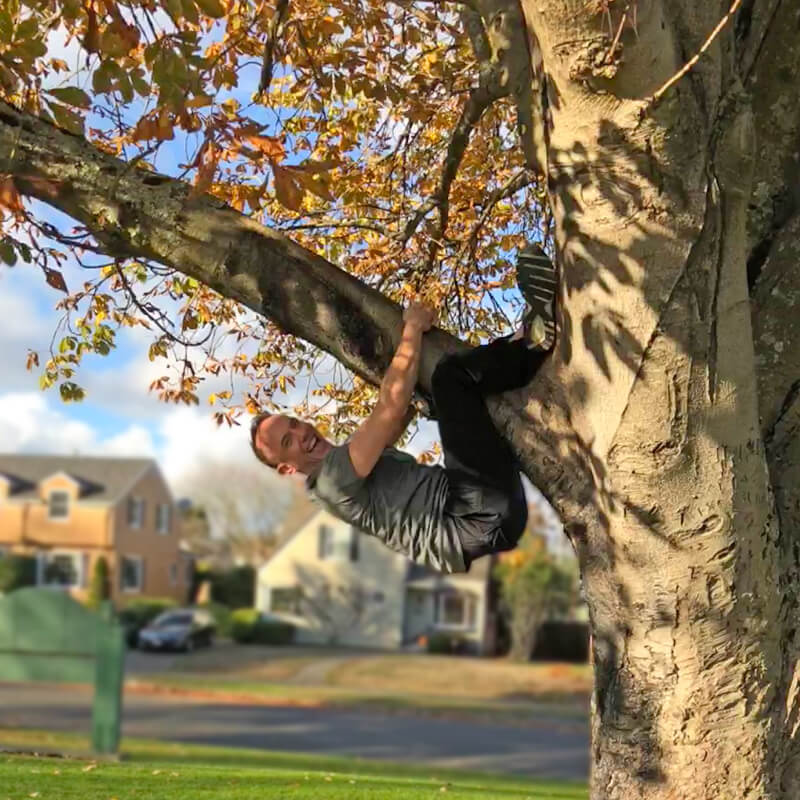 David climbing a tree.