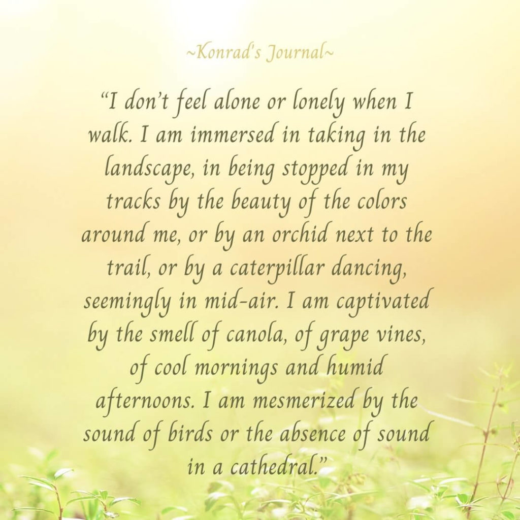 “I don’t feel alone or lonely when I walk. I am immersed in taking in the landscape, in being stopped in my tracks by the beauty of the colors around me, or by an orchid next to the trail, or by a caterpillar dancing, seemingly in mid-air. I am captivated by the smell of canola, of grape vines, of cool mornings and humid afternoons. I am mesmerized by the sound of birds or the absence of sound in a cathedral.”